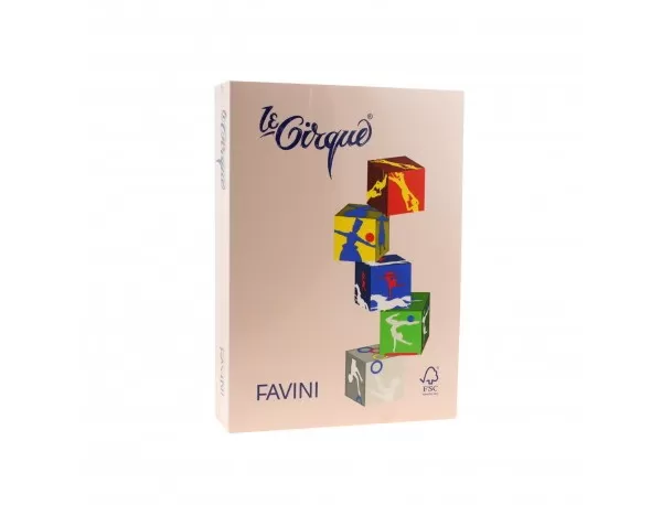 Carton color 160g/mp A4 103 SEPIA FAVINI-1-IMG-slider