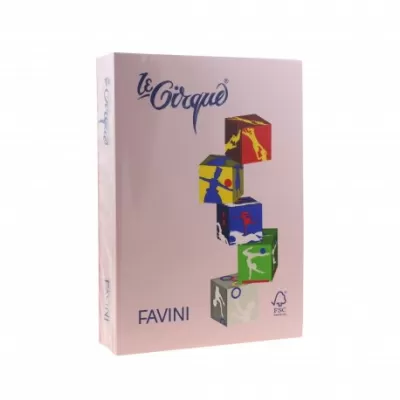 Carton color 160g/mp A4 108 ROZ FAVINI-img