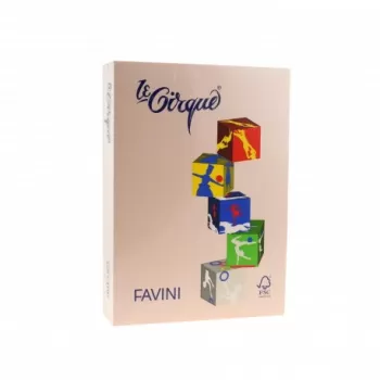 Carton color 160g/mp A4 103 SEPIA FAVINI-1