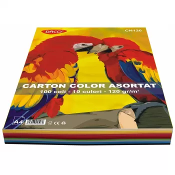 Carton color A4  100 coli  10 culori  DACO 120g/mp CN120-1