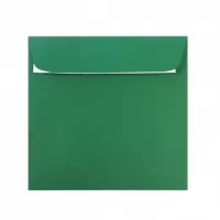 Plic pătrat color verde 14x14 cm, siliconic Daco PC1414VP-1-IMG-slider-mobile