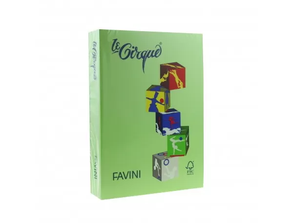 Carton color 160g/mp A4 203 Verde Iarba FAVINI-1-IMG-slider