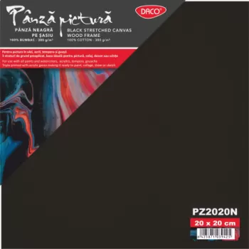 Panza pictura neagra pe sasiu 20x20 cm Daco-3