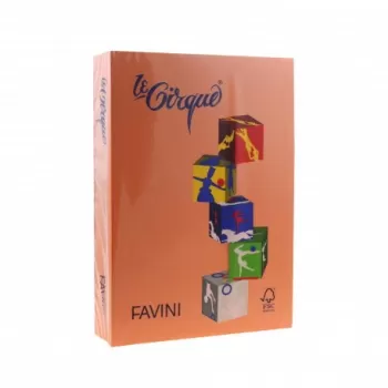 Carton color 160g/mp A4 205 PORTOCALIU FAVINI-1