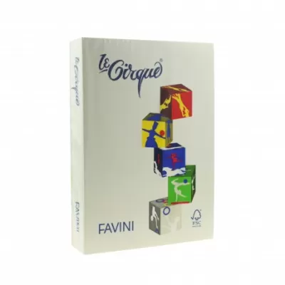 Carton color 160g/mp A4 109 GRI FAVINI-img