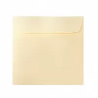 Plic pătrat color crem 14x14 cm, siliconic Daco PC1414C-1-IMG-slider-mobile